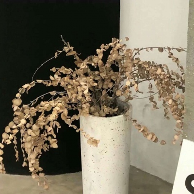 兽设毛发刻画细节福瑞群